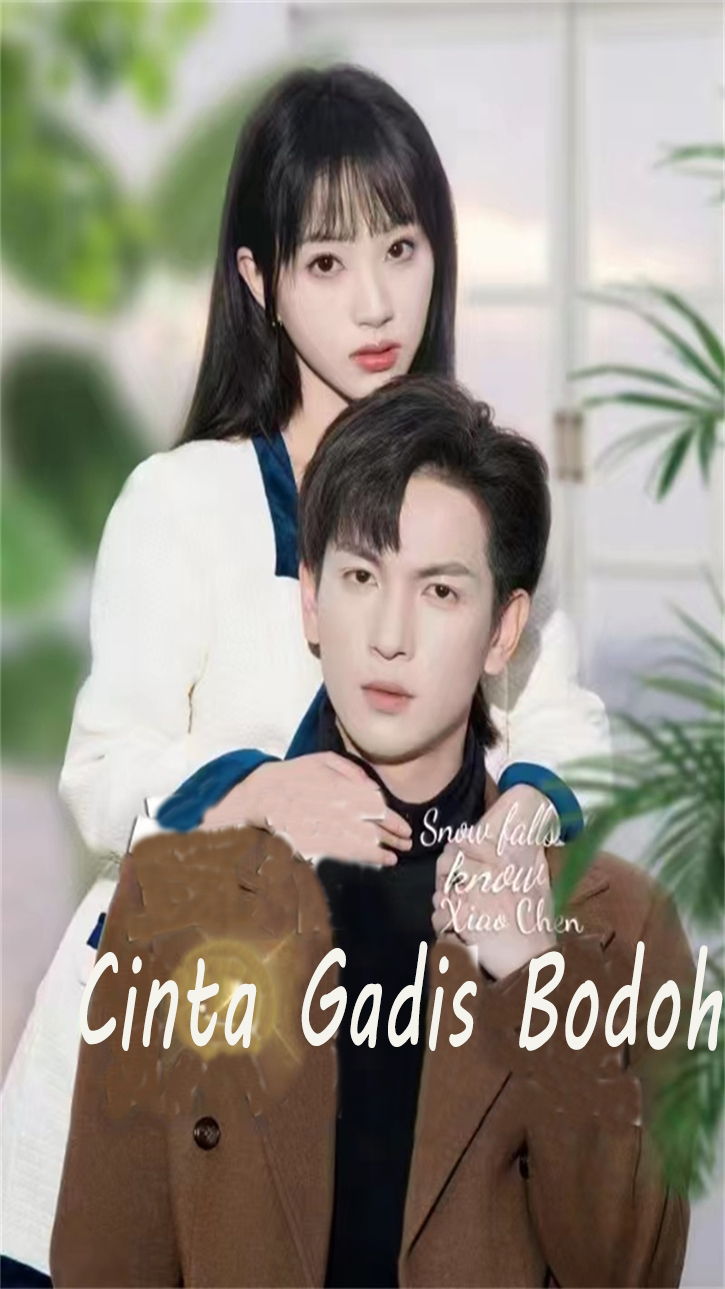 Drama China Cinta Gadis Bodoh sub Indo - poster